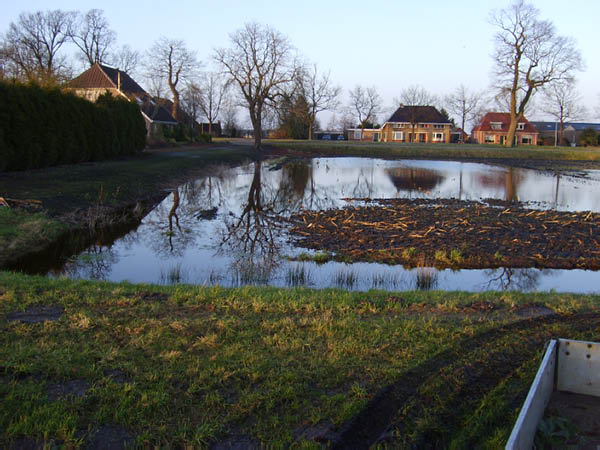 S6001643
