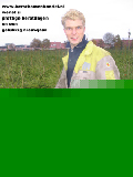 kerstbomenhandel.nl