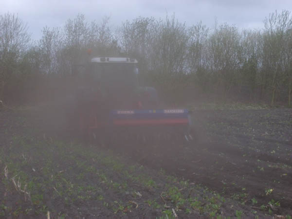S6000186
