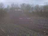 S6000186
