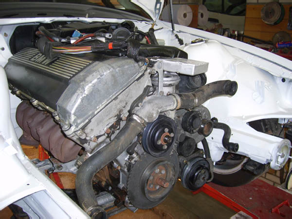 S6003135