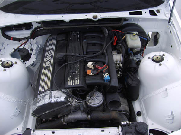 S6003153