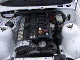 S6003153